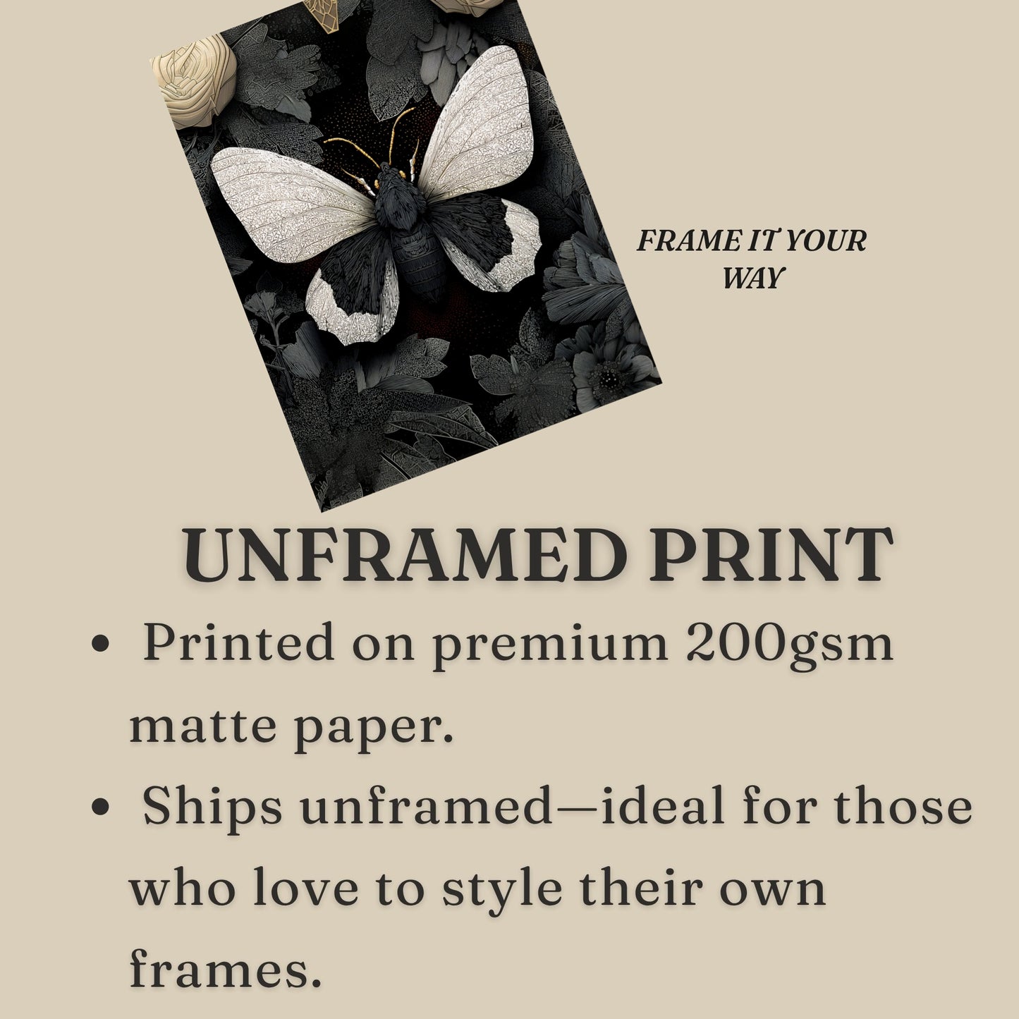 Black and White Moth Wall Art  Butterfly Print