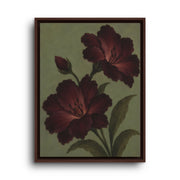 Brown floating frame canvas depicting two deep burgundy poppy blossoms with dark stems on an olive green backdrop