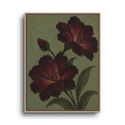 Burgundy Poppy Canvas Wall Art – Dark Olive Botanical Decor